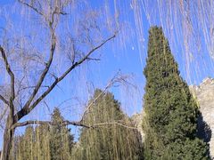 -程府宴(南长街四合院店)