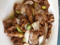 葱爆羊肉-燕春楼(海河华鼎店)