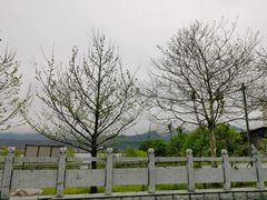 -河口景区