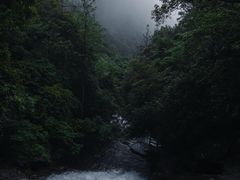 -姑婆山旅游区
