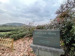 -中国茶叶博物馆(双峰馆区)