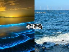 -枸杞岛