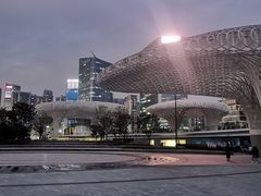 -宝安西湾红树林湿地公园