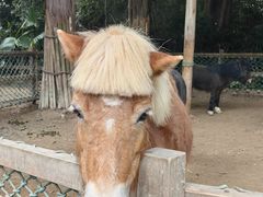 -广州长隆野生动物世界