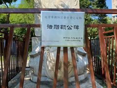 -团结湖公园