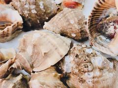 -渔民船说·北塘海鲜·天津菜·海肠捞饭(北塘古镇店)