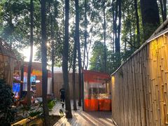 -二荆条·蜀鲜汇城市森林火锅