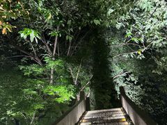 -青果巷历史文化街区