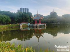 -金砂公园