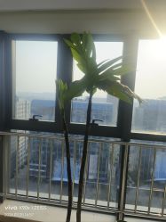 -HEYAN荷妍专业脱毛连锁机构