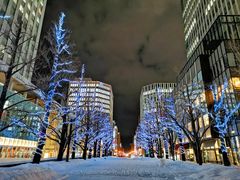 -北海道厅旧本厅舍(旧本庁舎)