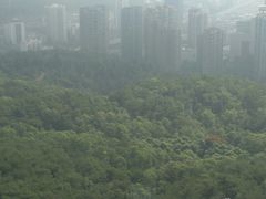 -狐尾山公园