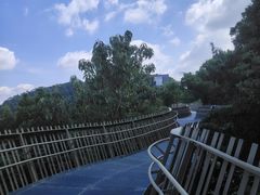 -福道