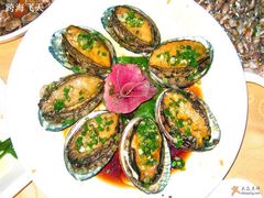 4头鲍鱼-海岛渔村大酒店(云霄路店)