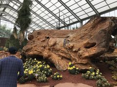 -南通洲际绿博园