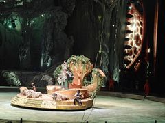 -广州长隆国际大马戏