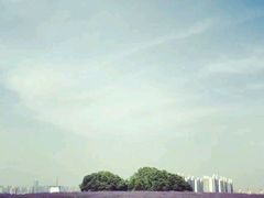 android_upload_pic-北京东方普罗旺斯薰衣草庄园