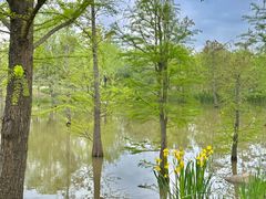 -上海长兴岛郊野公园