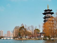 -洋湖国家湿地公园