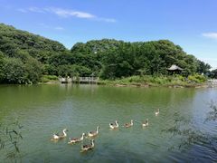 -广州市帽峰山景区