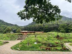 -广州市石门国家森林公园