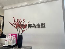 -YESIDO椰岛造型