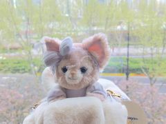 -新荣记(BFC外滩金融中心店)