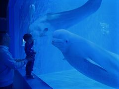 -多彩贵州城极地海洋世界