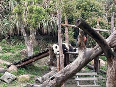 -宁波野生动物园