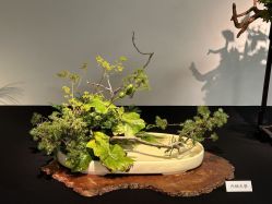 -今日陶艺(富力广场店)