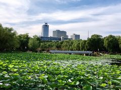 -长春市南湖公园