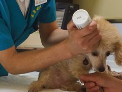 -惠康宠物医院(华能路店)