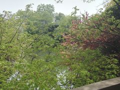 -桃花岛景观公园