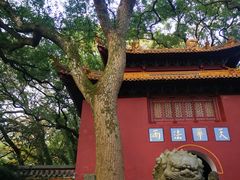 -普陀山风景名胜区-法雨禅寺
