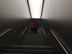 -Apple零售店(中街大悦城店)