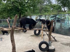 -西安秦岭野生动物园