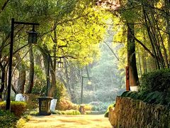 -杭州半山国家森林公园