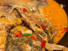 臭鲑鱼-韶山红湘菜馆(平原路店)