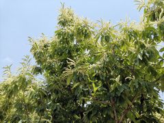 -北京雁栖湖国际会展中心