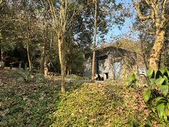 -都江堰中华大熊猫苑