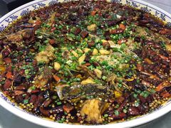 来凤鱼-新概念来凤鱼(璧山店)
