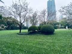 -静安公园(静安寺街道)