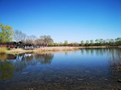 -永定河休闲森林公园