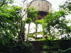 -南岗山公园