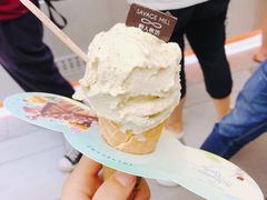 -野人先生现做冰淇淋(西安赛格店)