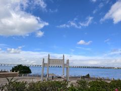 -宝安西湾红树林湿地公园