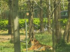 -秦皇岛野生动物园