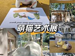 -深圳湾万象城(南山店)