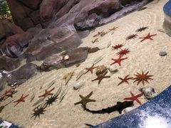 -福州罗源湾海洋世界旅游区