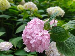 -常州古运河南大街文化旅游区-人民公园